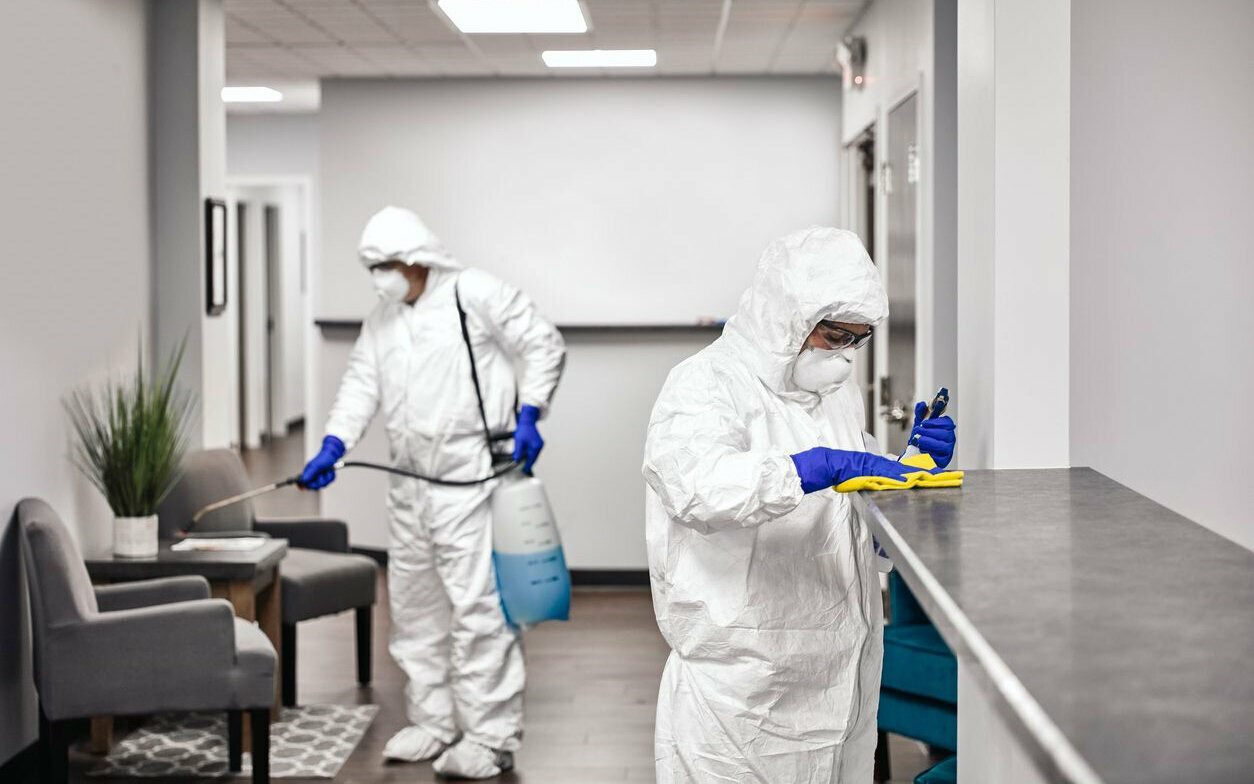 ФОТО Обработка офиса от вредителей в Лоухи | подробно