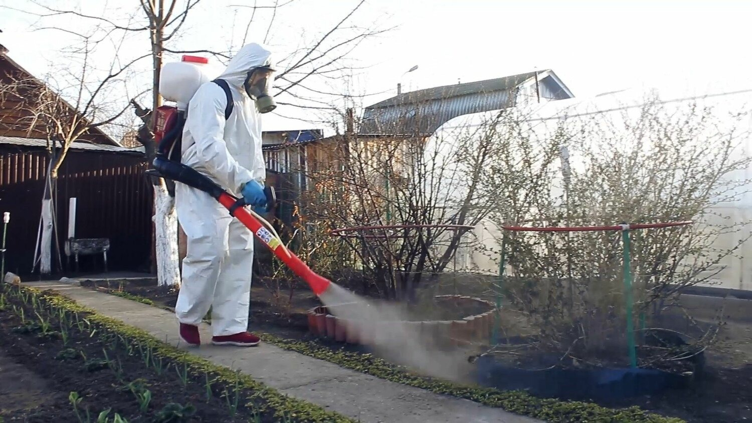 ФОТО Уничтожение муравьёв в Лоухи