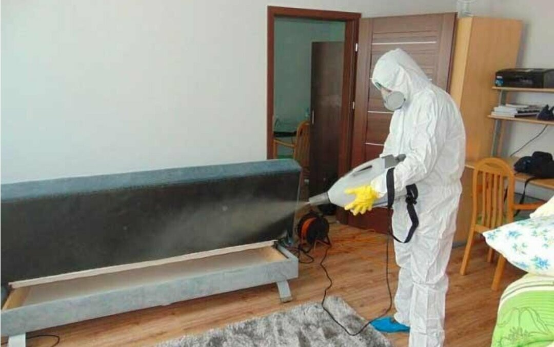 ФОТО Уничтожение блох в Лоухи