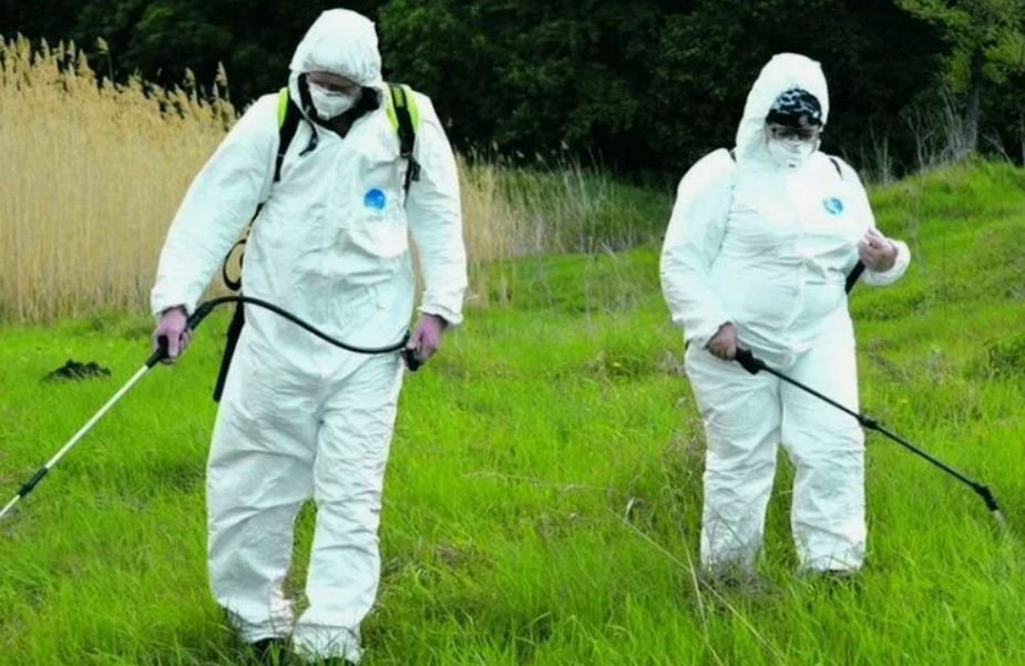 ФОТО Обработка от клещей в Лоухи