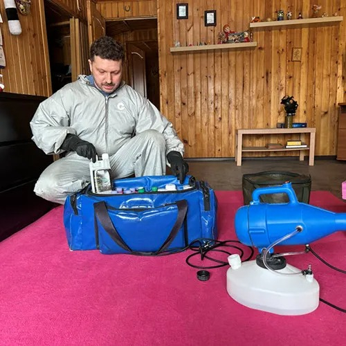 ФОТО Дератизация в Лоухи