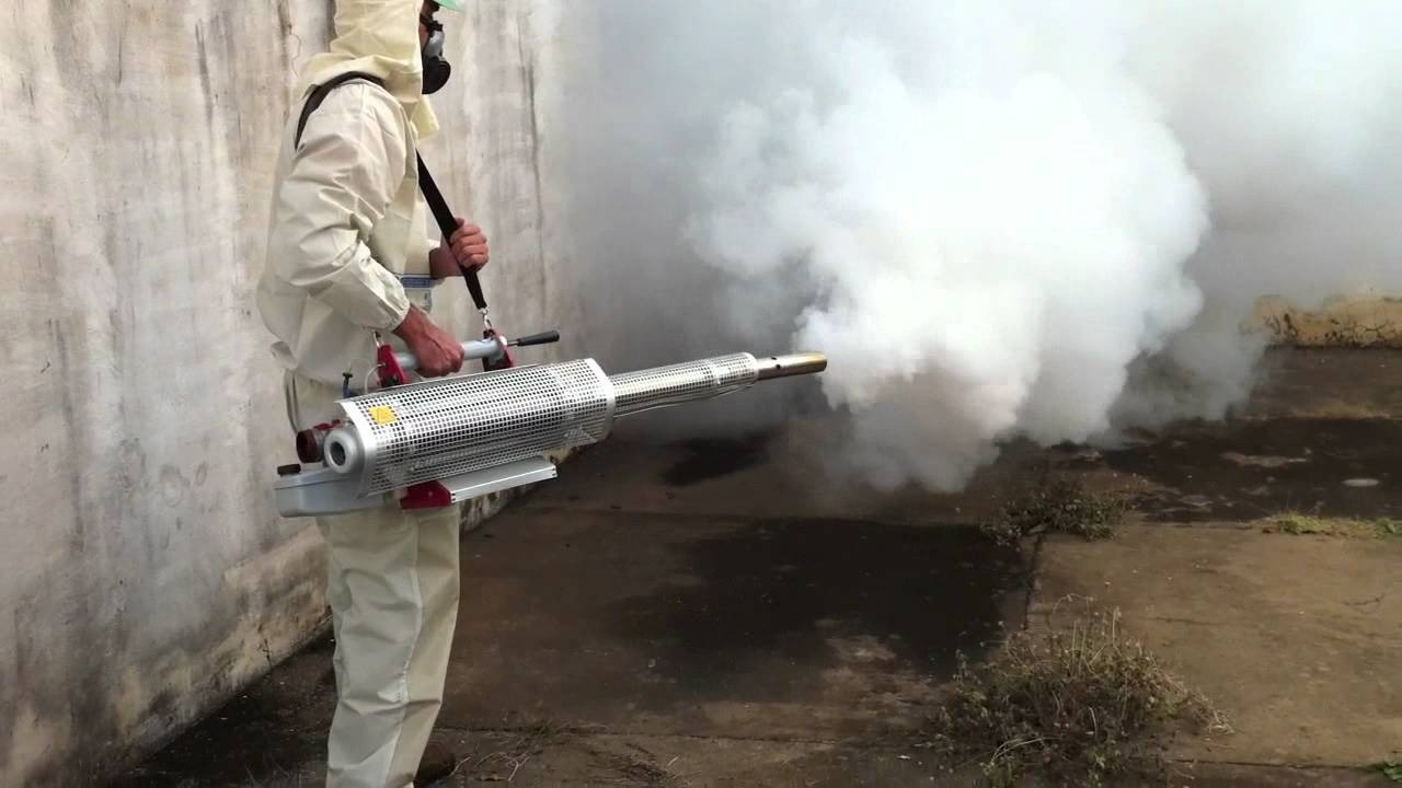 ФОТО Уничтожение мух в Лоухи