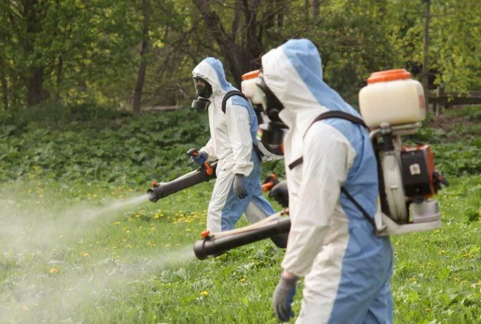 ФОТО Что такое дезинсекция в Лоухи? | подробно