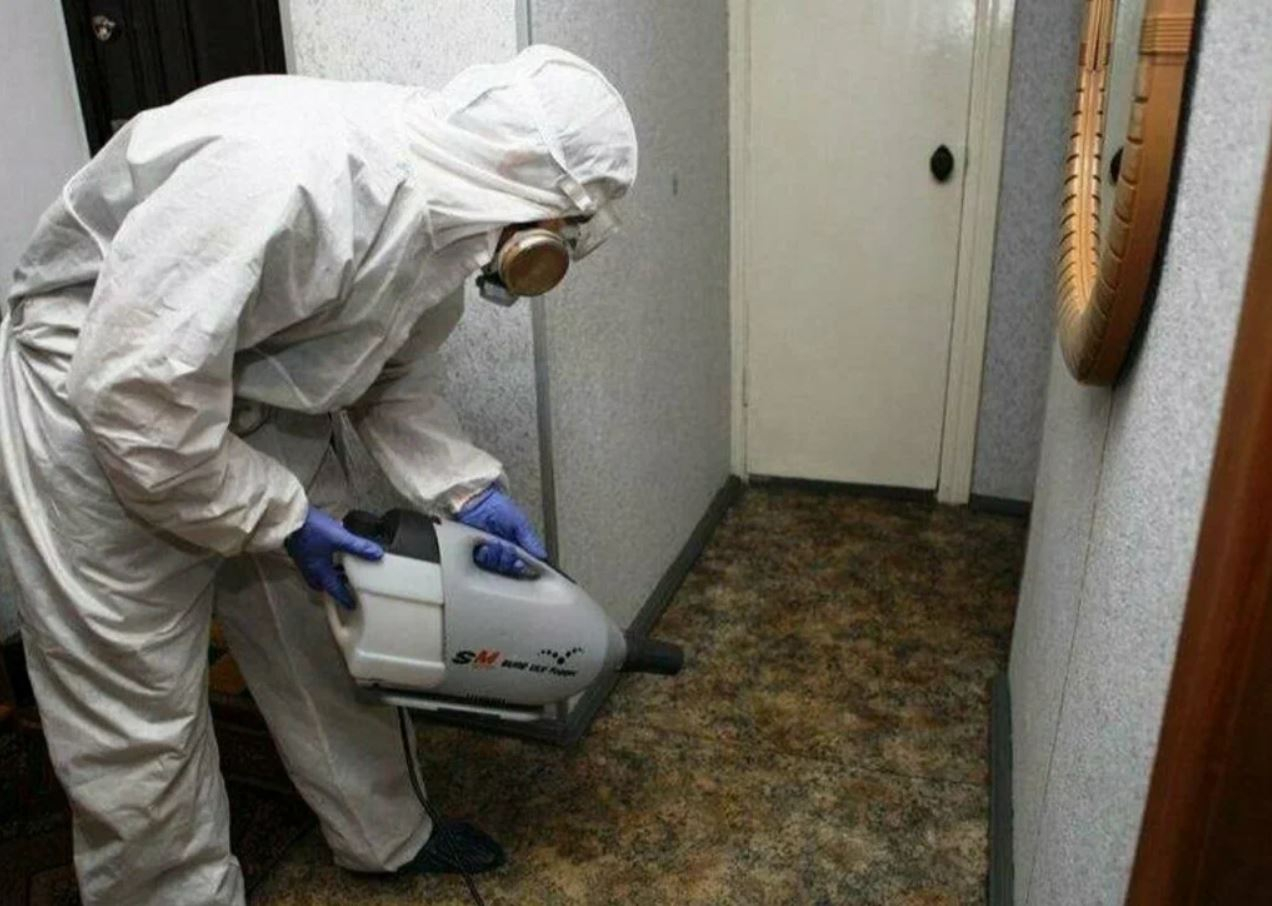 ФОТО Какие методы обработки для дезинсекции существуют в Лоухи? | подробно