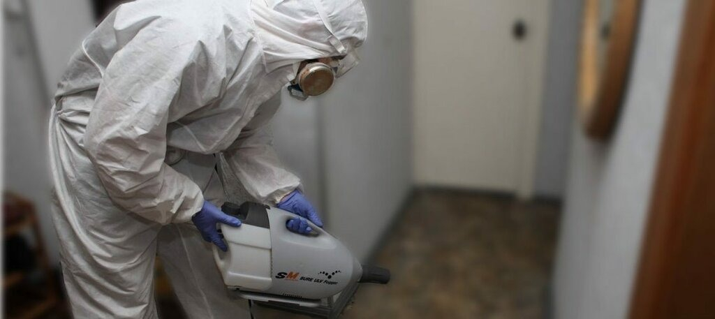 ФОТО Остаются ли следы после обработки квартиры от насекомых в Лоухи? | подробно