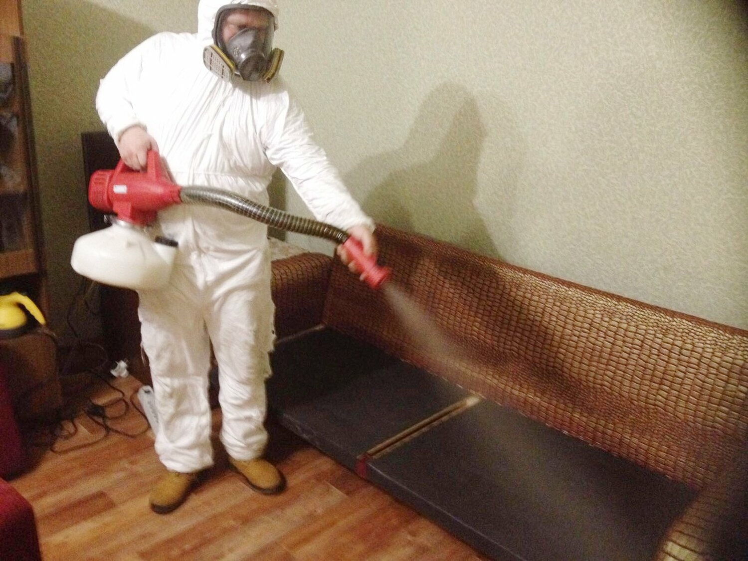 ФОТО Когда можно вернуться в помещение после дезинсекции в Лоухи? | подробно